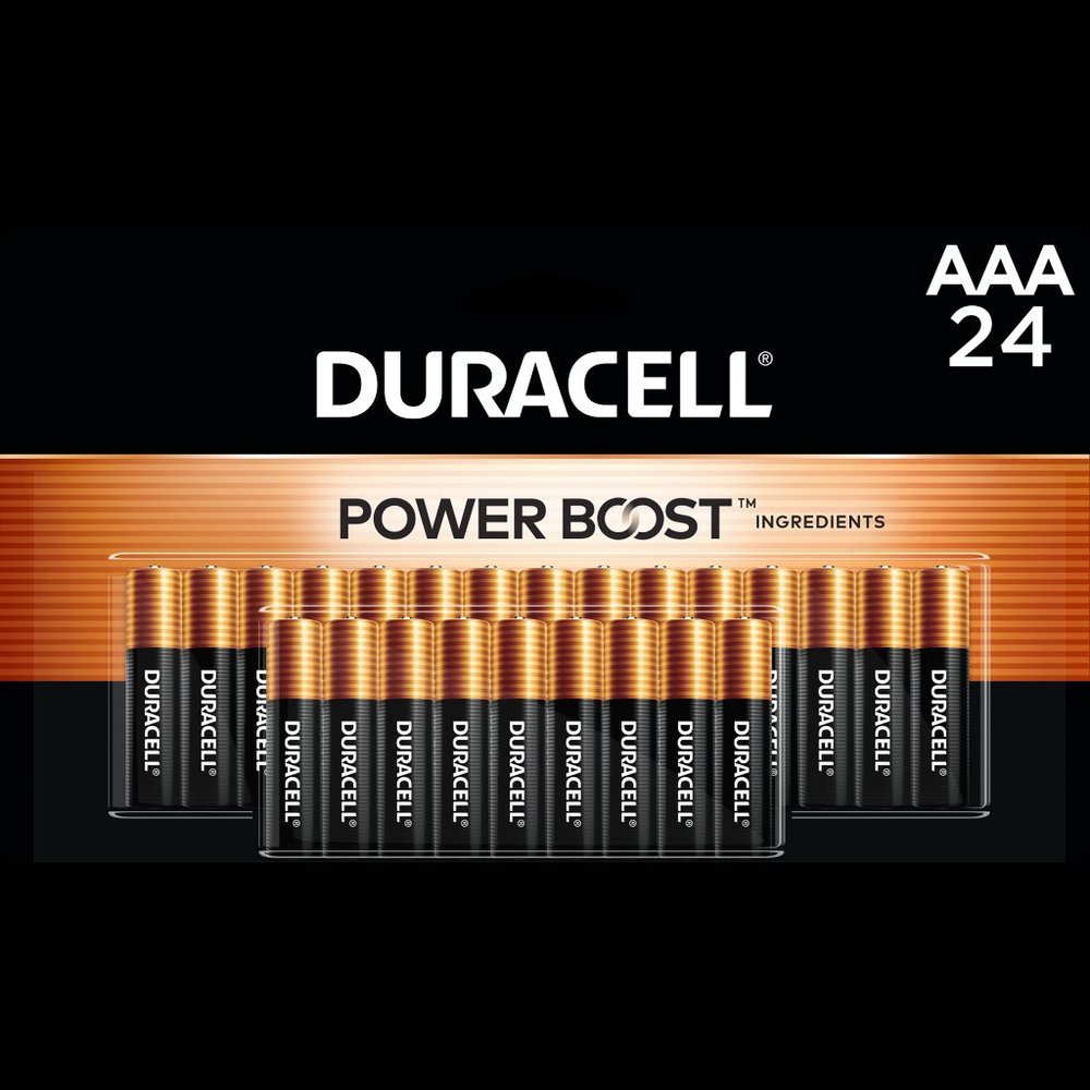 Duracell Coppertop AA Alkaline Battery, 24/Pack